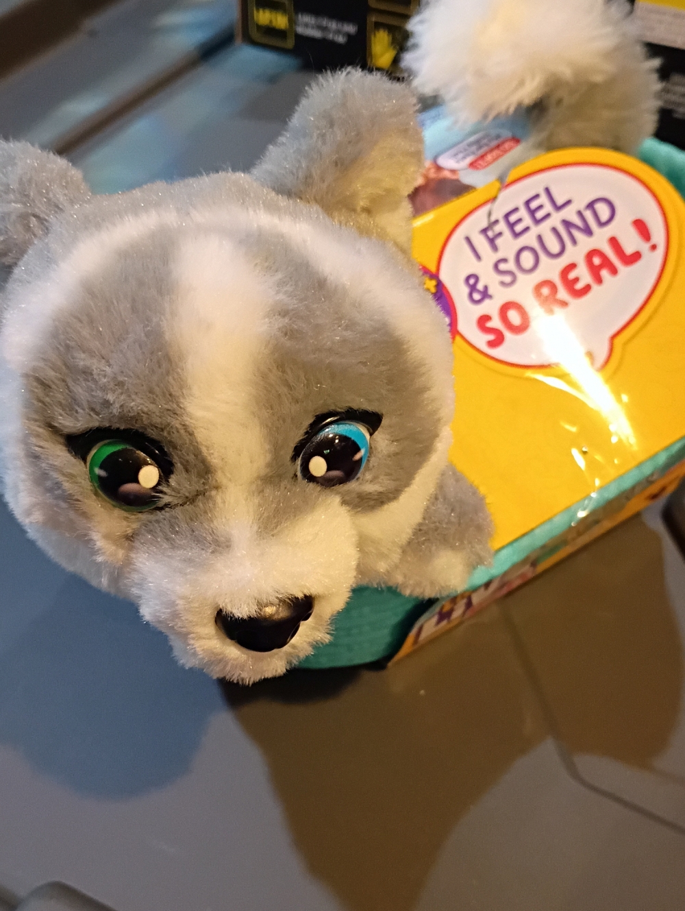 Plush Small Pet Toy in Gray with Teal Bed - Brand: